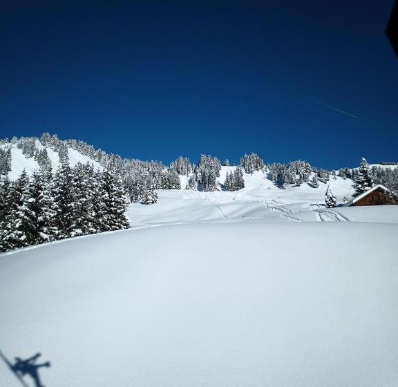 مبيت وإفطار Haus Furka