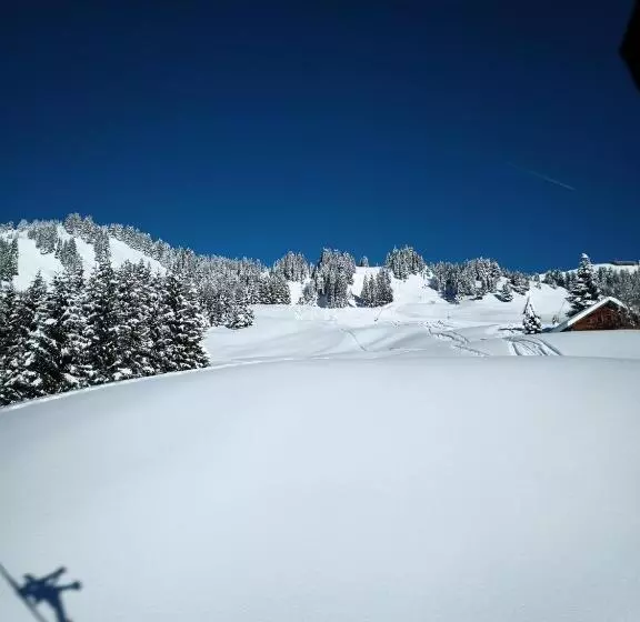 Bed and Breakfast Haus Furka