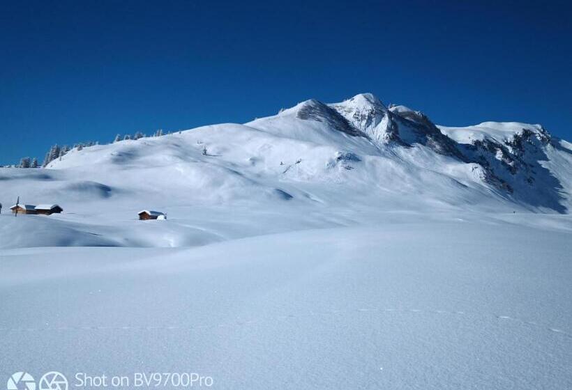 مبيت وإفطار Haus Furka