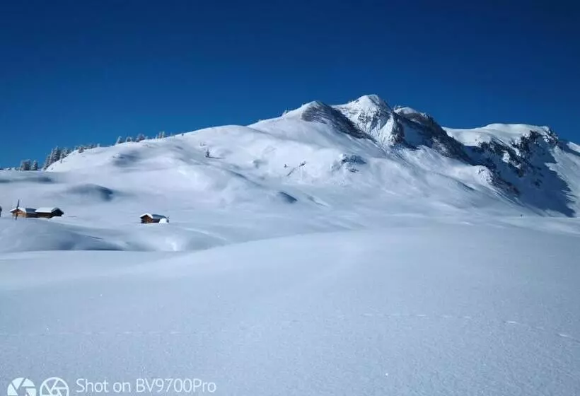 Bed and Breakfast Haus Furka