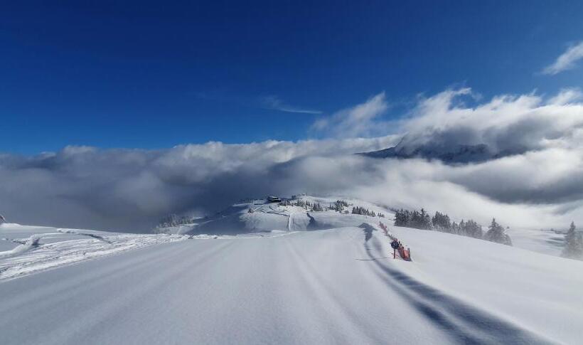 مبيت وإفطار Haus Furka