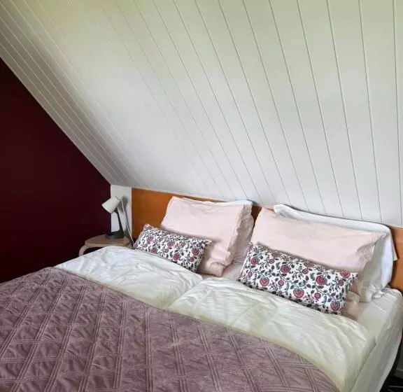 בית מלון כפרי De Greune Weide