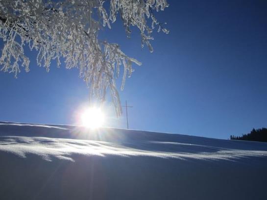 Bio Ferienbauernhof Greber