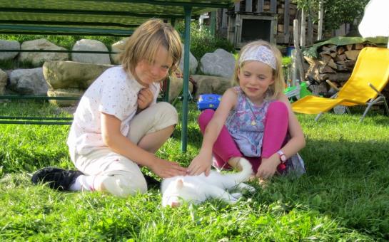 Bio Ferienbauernhof Greber