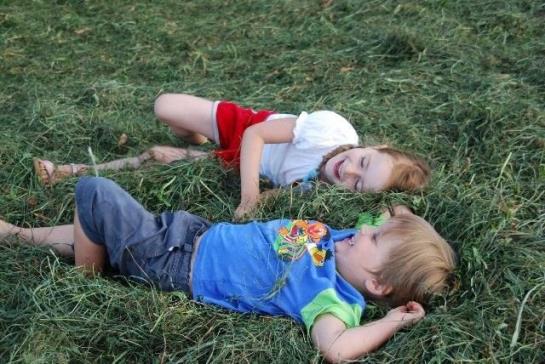 Bio Ferienbauernhof Greber