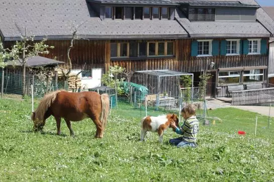 Bio Ferienbauernhof Greber