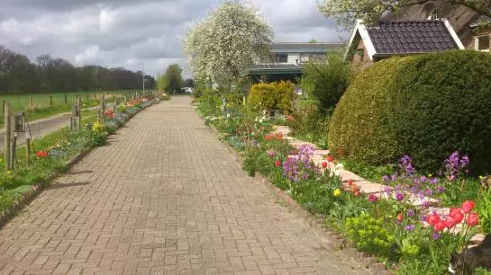 B&b Het Farmhouse Greenpark