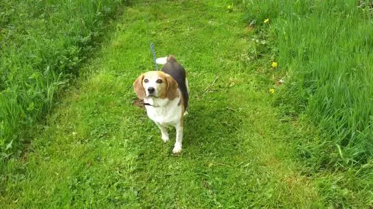 B&b Het Farmhouse Greenpark