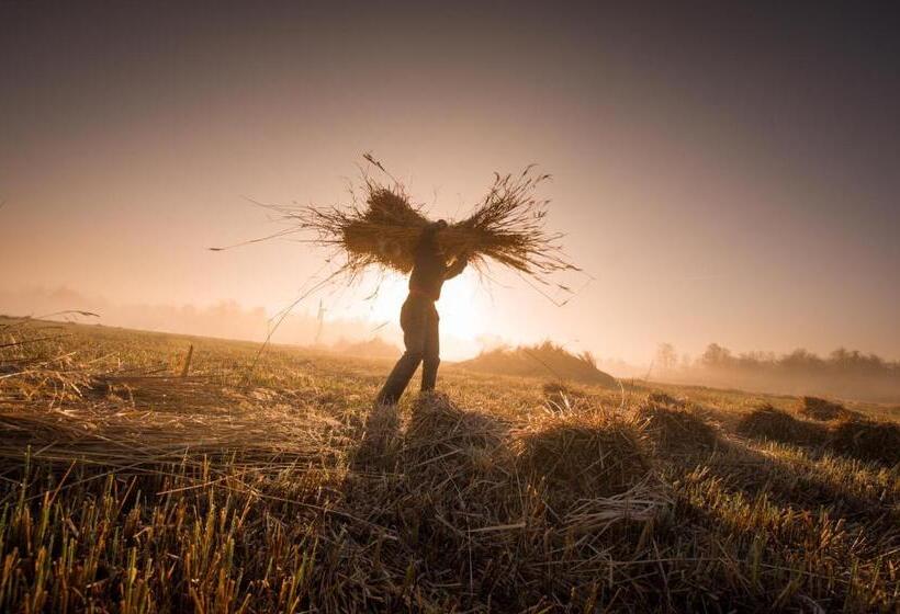 בית מלון כפרי De Pergola