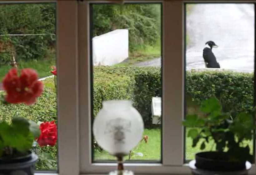 Murphys Farmhouse B&b