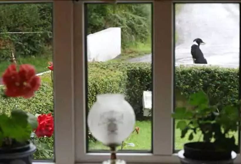 Murphys Farmhouse B&b