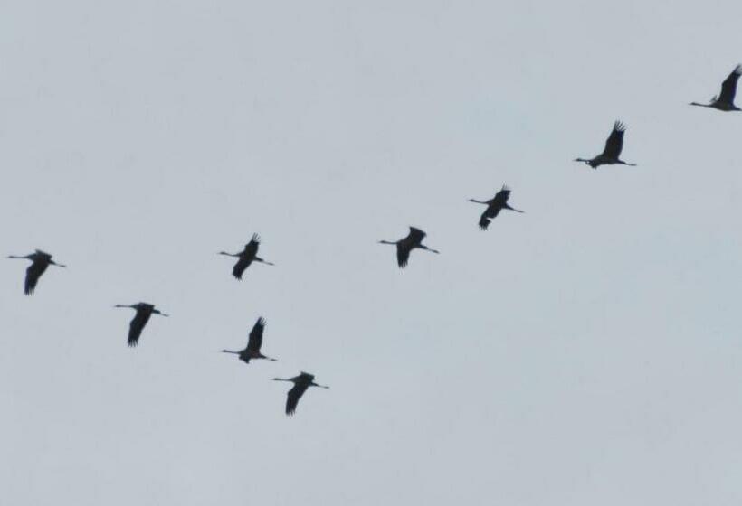 Fewo Kramm Ostseebad Dierhagen