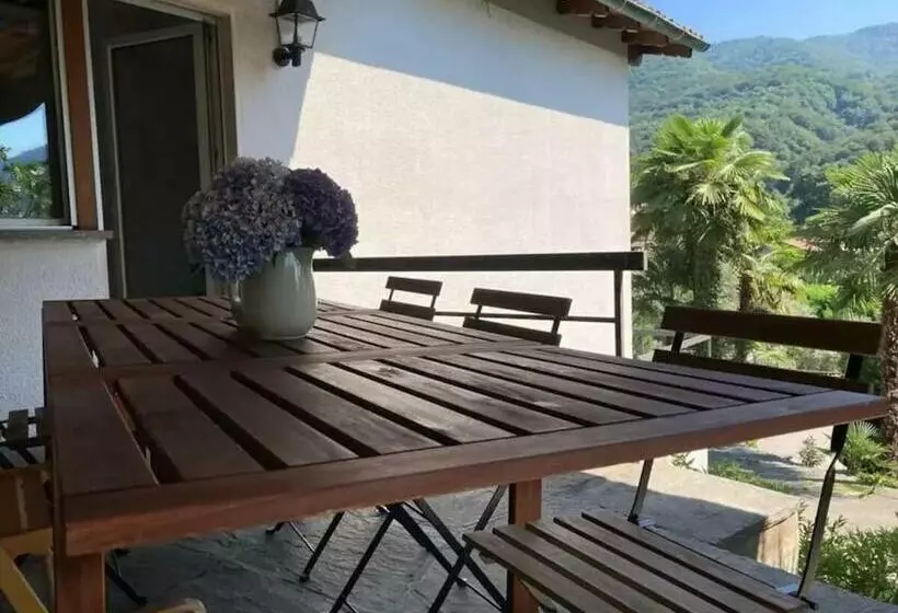 Palm Topia
