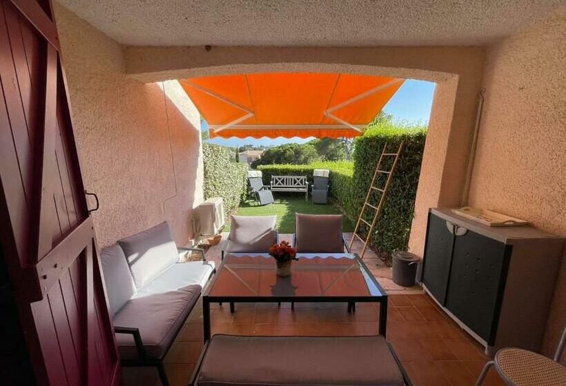 Les Magnolias Au Soleil