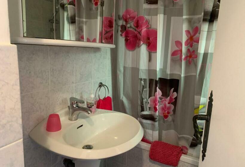 Les Magnolias Au Soleil