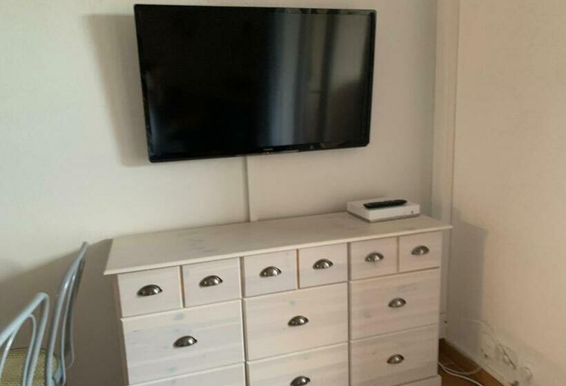 Les Magnolias Au Soleil