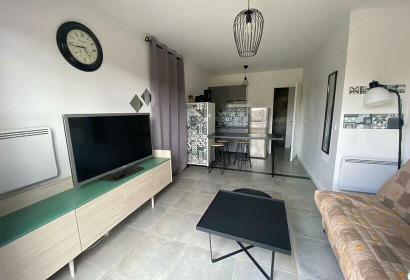 Studio Avec Extérieur Ombragé