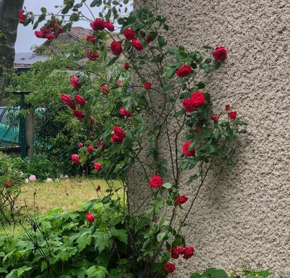 Gîte De Pampe Lune & Spa