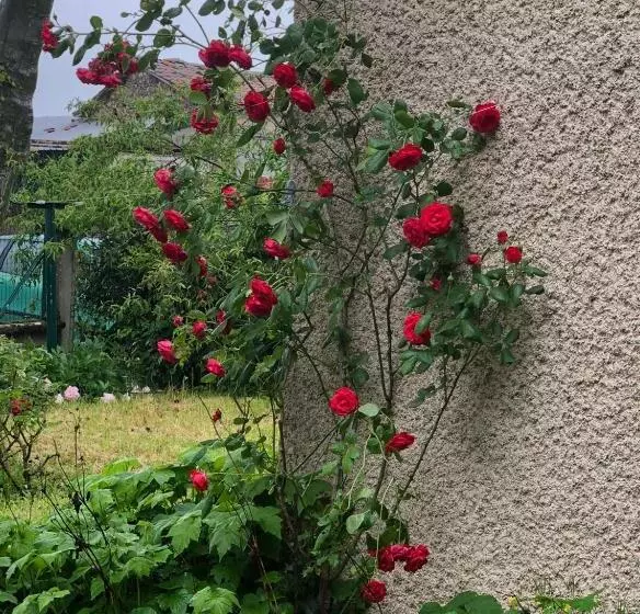 Gîte De Pampe Lune & Spa