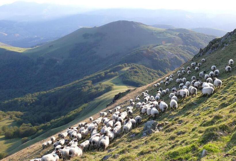 Location 1 Semaine Minimum Classé 3 étoiles