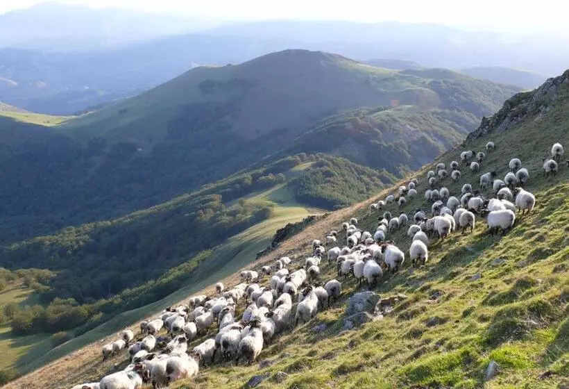 Location 1 Semaine Minimum Classé 3 étoiles