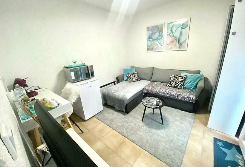 Top Apartment Saarbruecken City