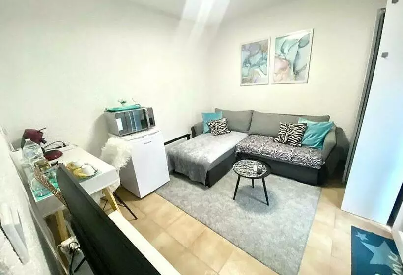 Top Apartment Saarbruecken City