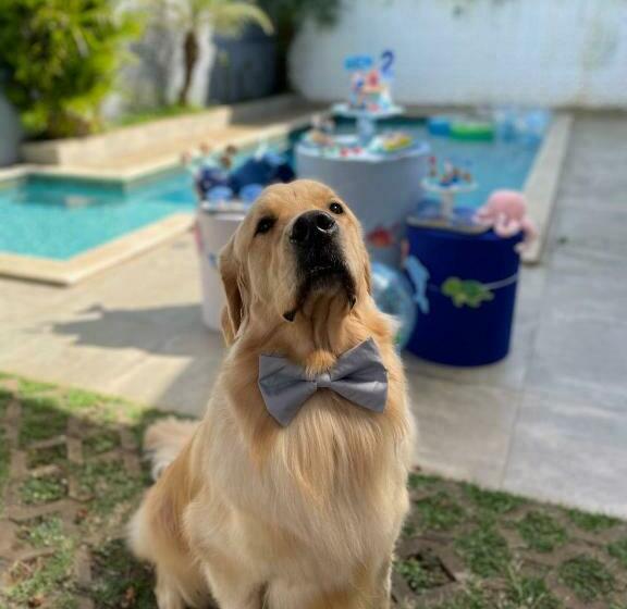 Bela Casa Piscina Aquecimento Solar Em Americana Sp