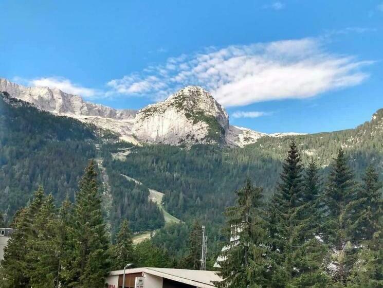 Wood Apartment In Canin Ski Resort