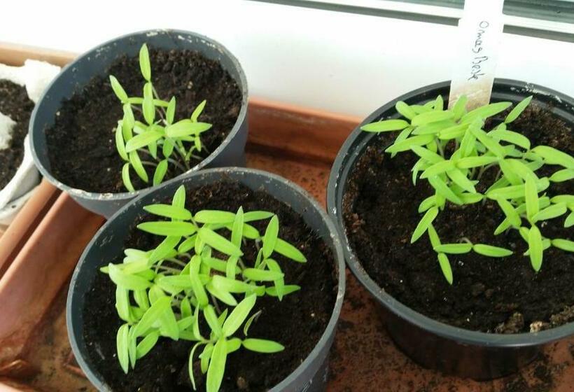 80m² Complete Apartment For Vacation Or Work