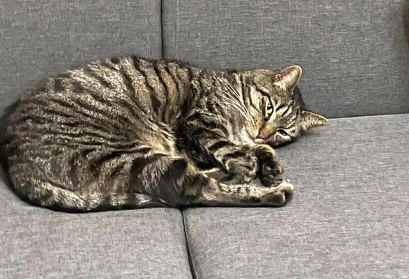 Maisonnette En Duplex 25 M2, Pantin Porte De Paris