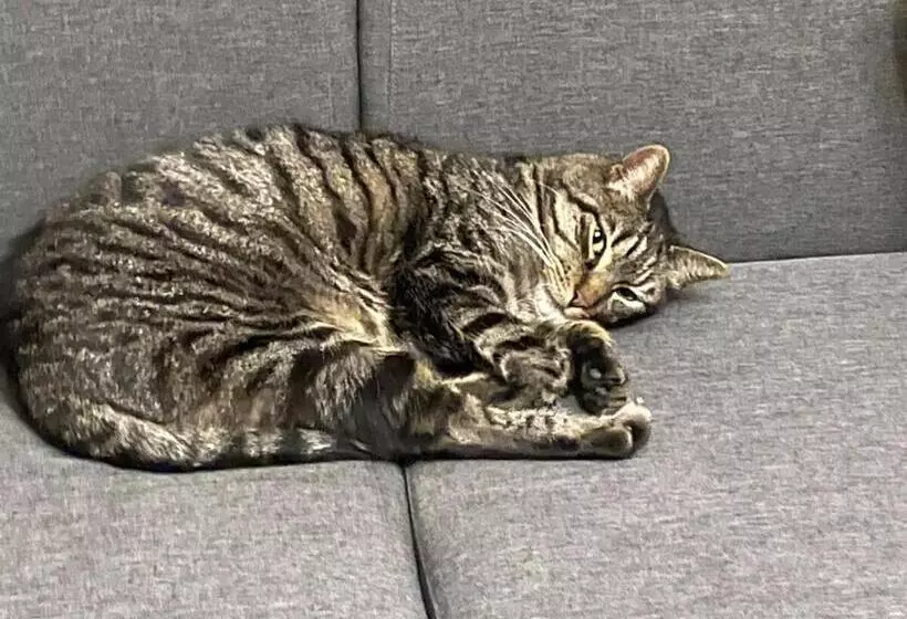 Maisonnette En Duplex 25 M2, Pantin Porte De Paris