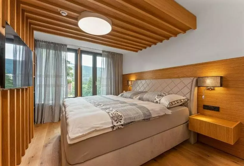 Residence Koubek   útulný Apartmán S Výhledem A Parkováním