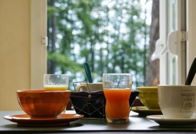 Отель Adonis Valberg