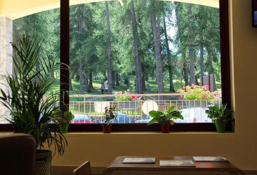 Отель Adonis Valberg