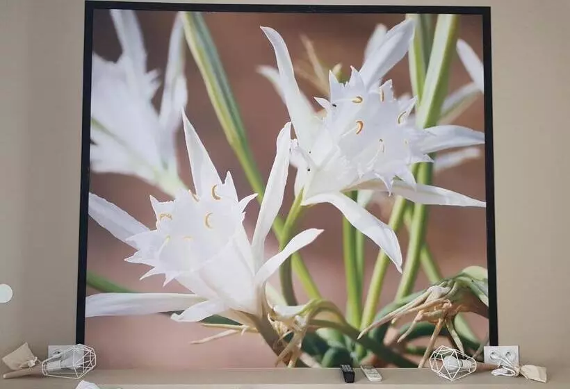 هتل Hôtel Restaurant Chez Carrière