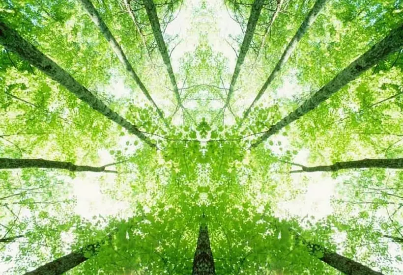 Отель Ibis Budget Rueil Malmaison