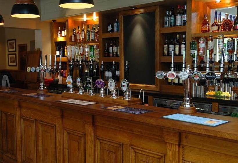 فندق The Bear's Paw