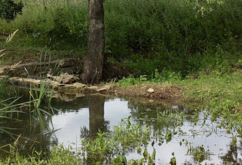 Отель The House Near Bath