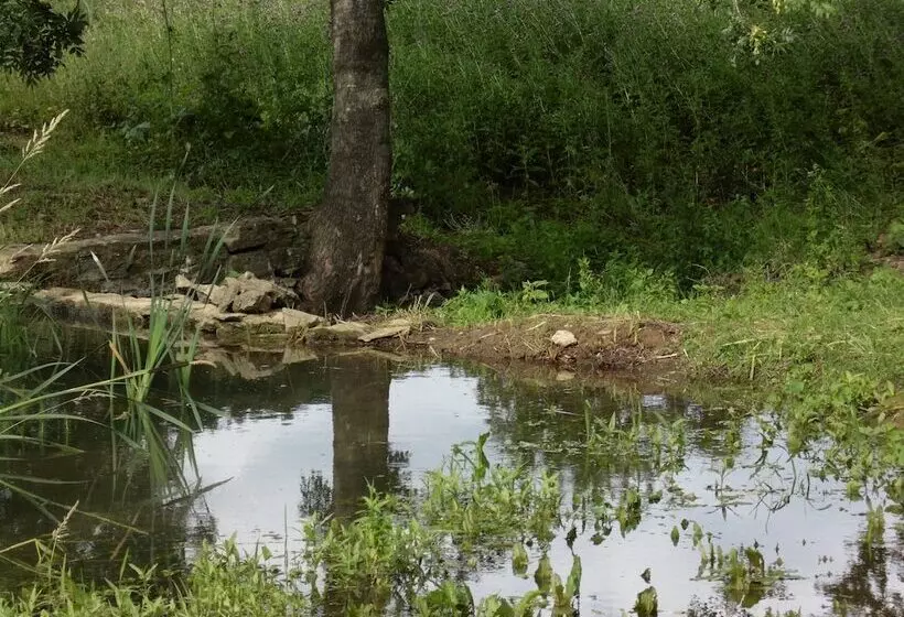 هتل The House Near Bath