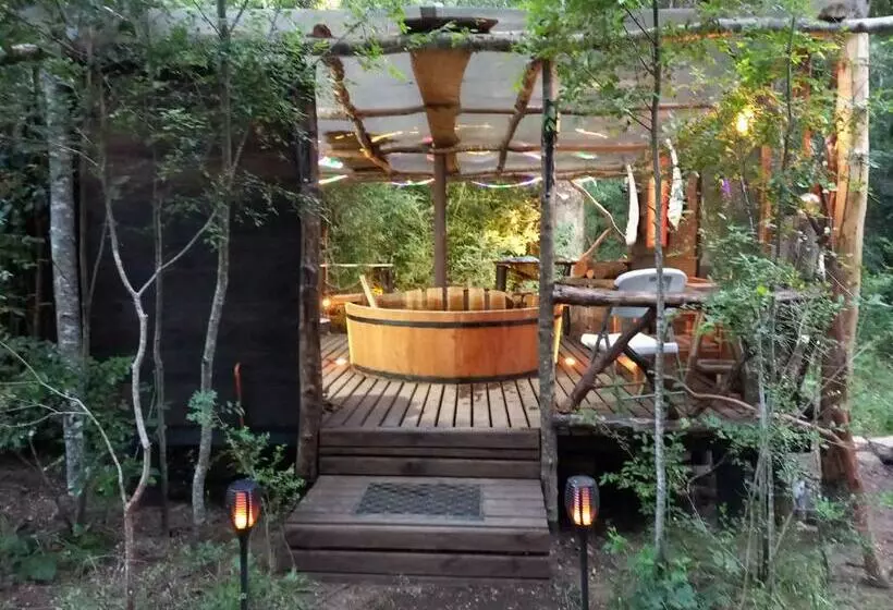 Hermosa Cabaña A Pasos Ojos Del Caburgua