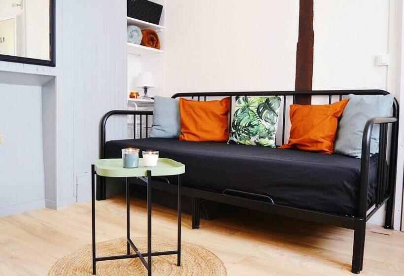 Superbe Studio Au Centre D Orléans