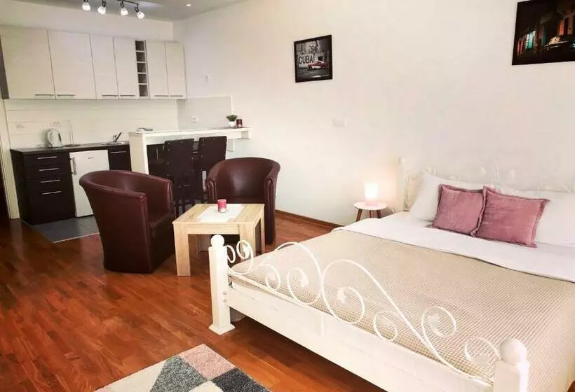 Vikont Studio Apartment With Parking 5 Eur Per Day