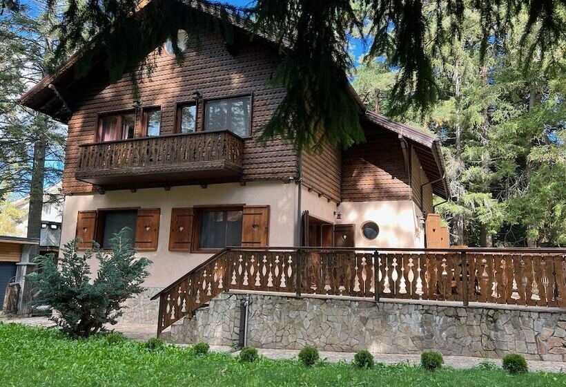 Villa Borovets Mountain & Luxury