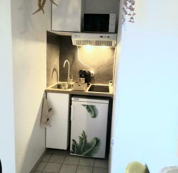 Jungle Studio Proche De La Gare