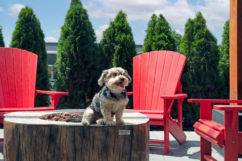 Hotelli Home2 Suites By Hilton Huntsville