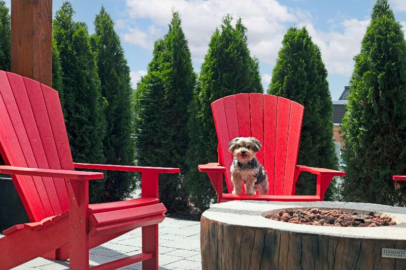 호텔 Home2 Suites By Hilton Huntsville