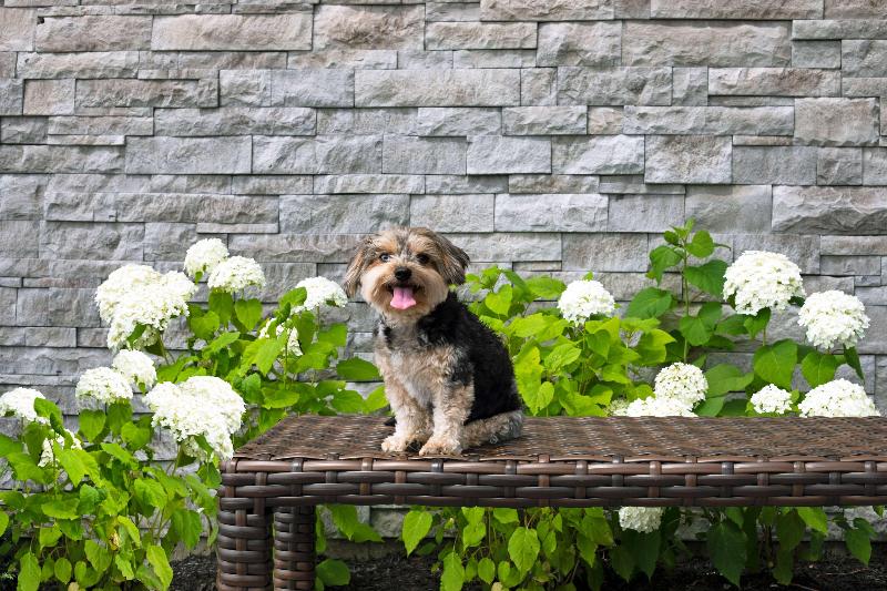 호텔 Home2 Suites By Hilton Huntsville