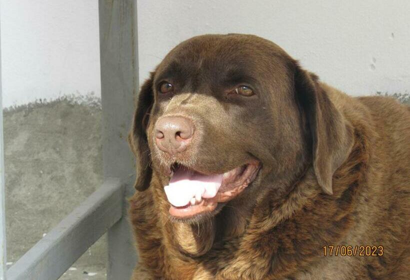 Pensjonat Dă I Pace