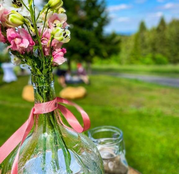 ペンション Horský Penzion Vebrovy Boudy